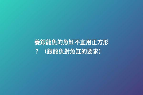 養銀龍魚的魚缸不宜用正方形？（銀龍魚對魚缸的要求）